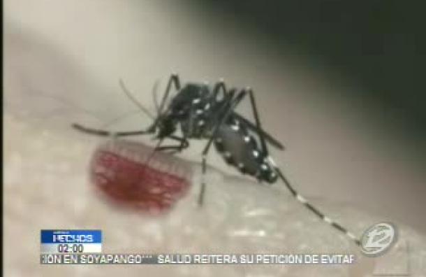 El zika se podría transmitir por la vía sexual